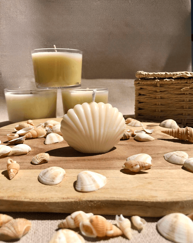 Bougie Coquillage