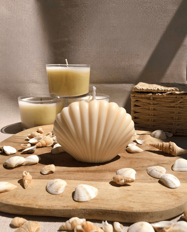 Bougie Coquillage