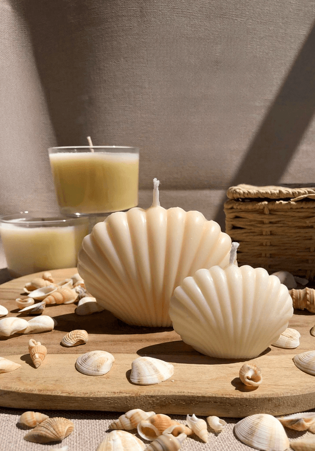 Bougie Coquillage